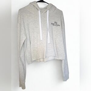 QUIET STORM Cropped Hoodie | Size Large | Like New